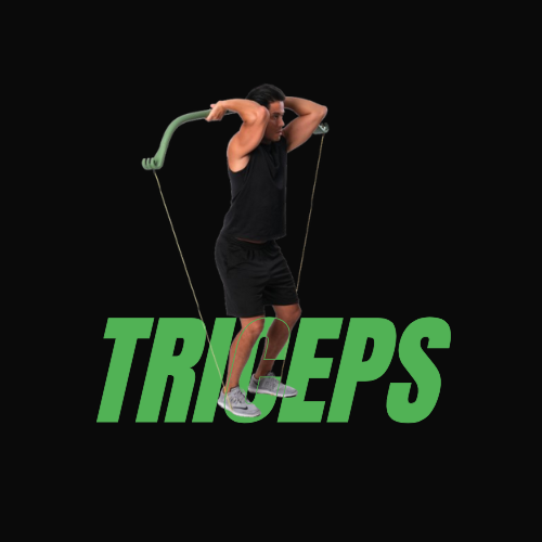 Triceps