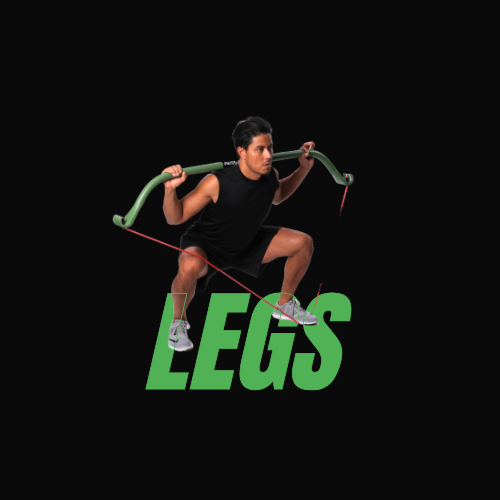 LEGS