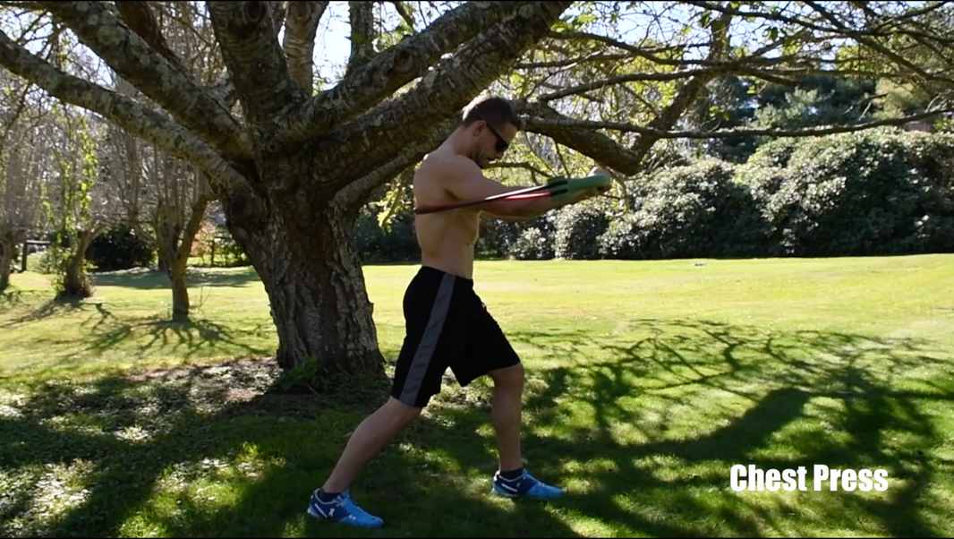 Chest Press
