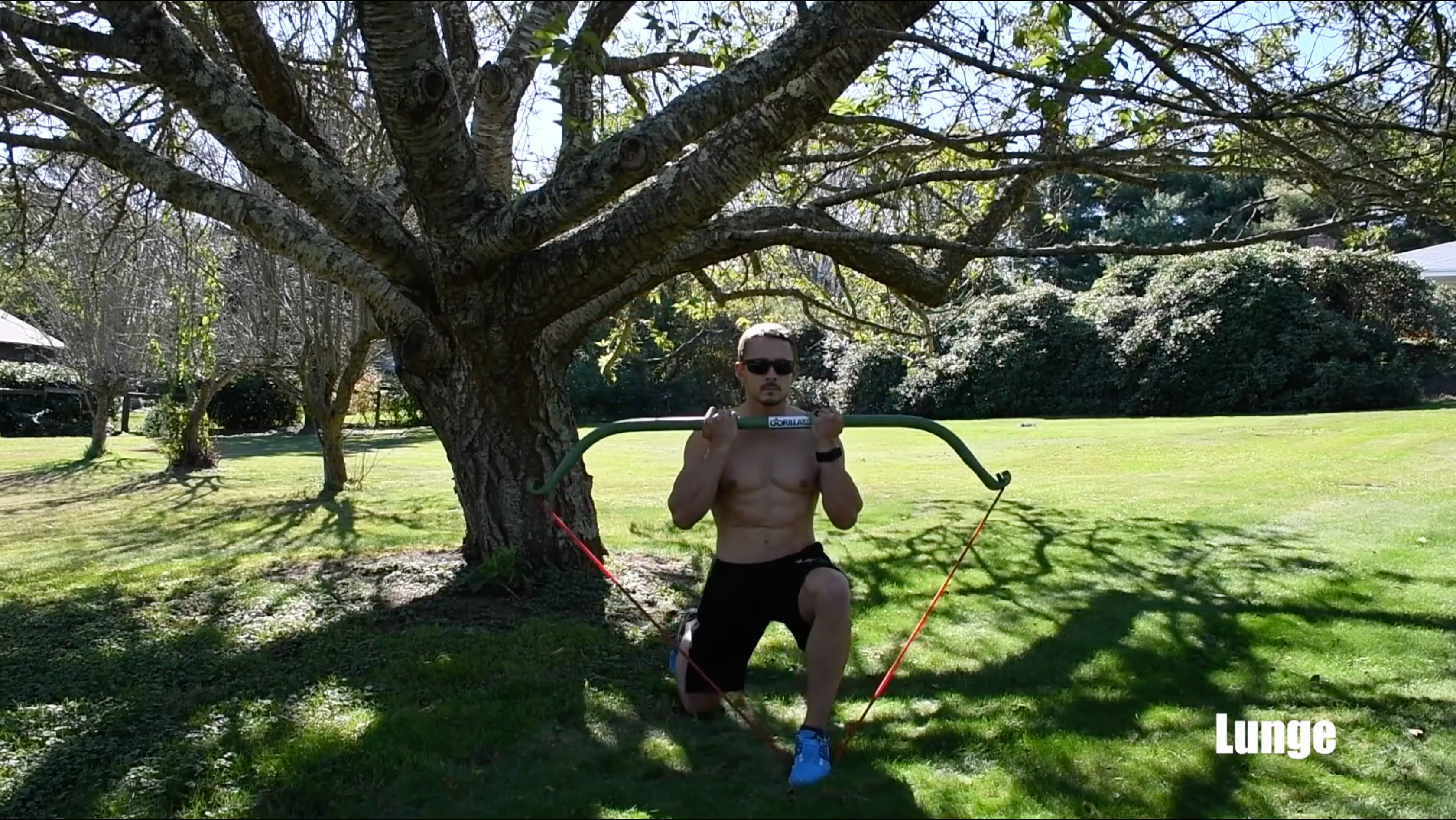 Lunge